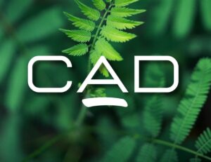 Cad